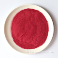 Fournir la poudre de betterave rouge de la betterave rouge